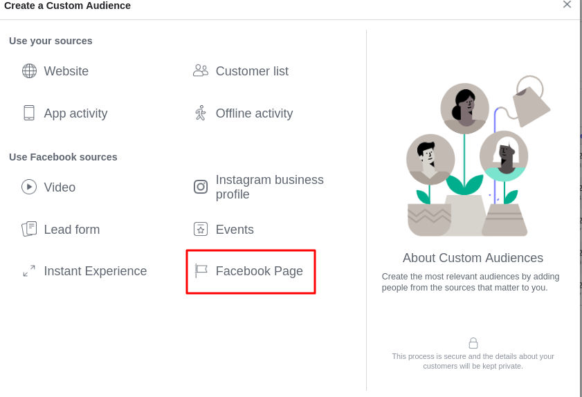 Facebook Page like Auidences