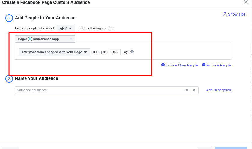 Facebook page custom audience