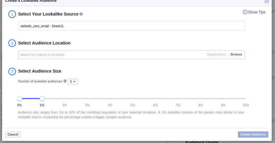 Facebook Lookalike audience