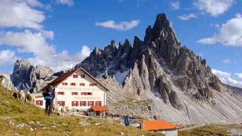 locatelli hut tre cime sheep