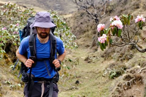 hiker trekking through rhododendron forest