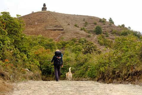 person hiking dog on dirt path