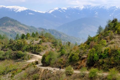 trekking himalayan mountain trail