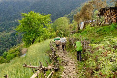 porters hiking in the valley