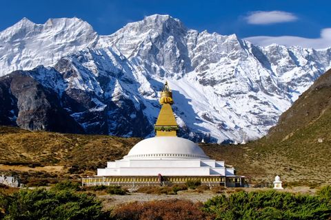 stupa and snowy mountains