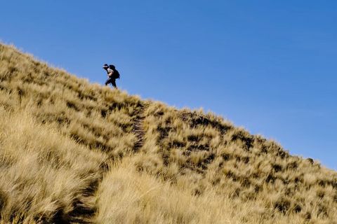 hiker climbing golden hill blue sky