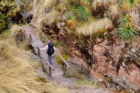 hiker walking across bridge