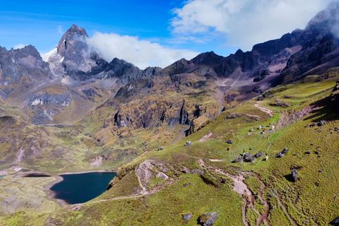 alpacas grazing over lagoon and mountain