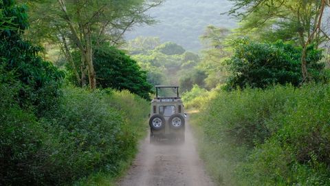safari jeep driving through jungle