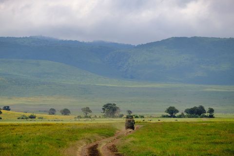 jeep driving away