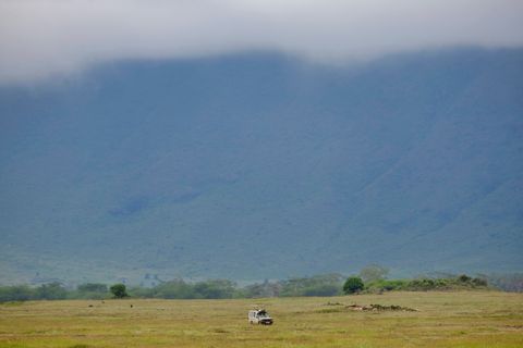 safari jeep in the distance
