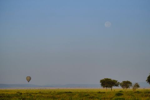 hot air ballon on the plains