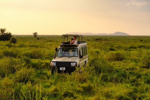 safari jeep waiting