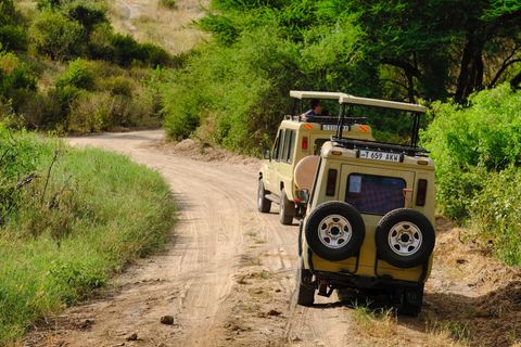 jeeps parked off the road