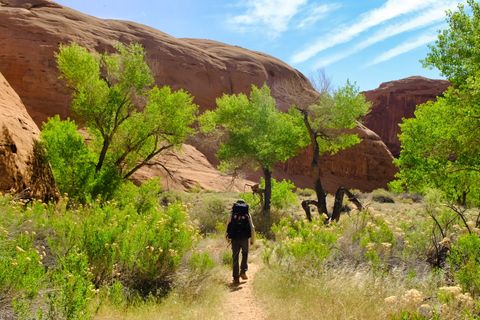 red rock canyon hiker oasis