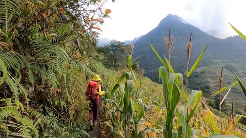 girl hiking through corn farm in the mountains