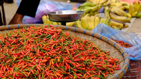 pile of red chili peppers at market