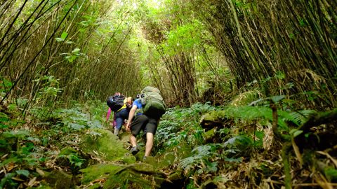 two people climbing through bamboo tunnel