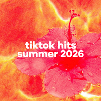 TikTok Hits. Summer 2026