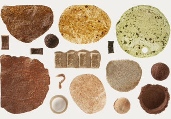 <p>Starting from the top, in the left and center part of the image, pumpkin peels and seeds bioplastic are displayed. At the right, there is a zucchini-based one. In the center, two pieces of hemp bioplastic are shown. At the bottom right corner, there are two samples of acorn “cork”. As we move towards the left, there are the results from different recipes with onion and garlic peels. To follow, there is an example of eggshell “clay”. And lastly, a chestnut “leather”.</p>
