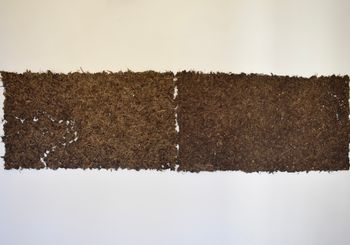 <p><span>The final work consists of two handmade paper membranes placed side by side, attached delicately to the wall with fine nails. The piece exists between vulnerability and persistence — an embodied dialogue between material, memory, and renewal. It invites viewers to pause, to breathe, and to listen to the quiet resilience of matter itself.</span></p>