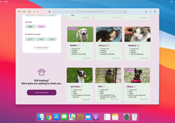 <p>Desktop example - Taking a look at all the profiles</p>