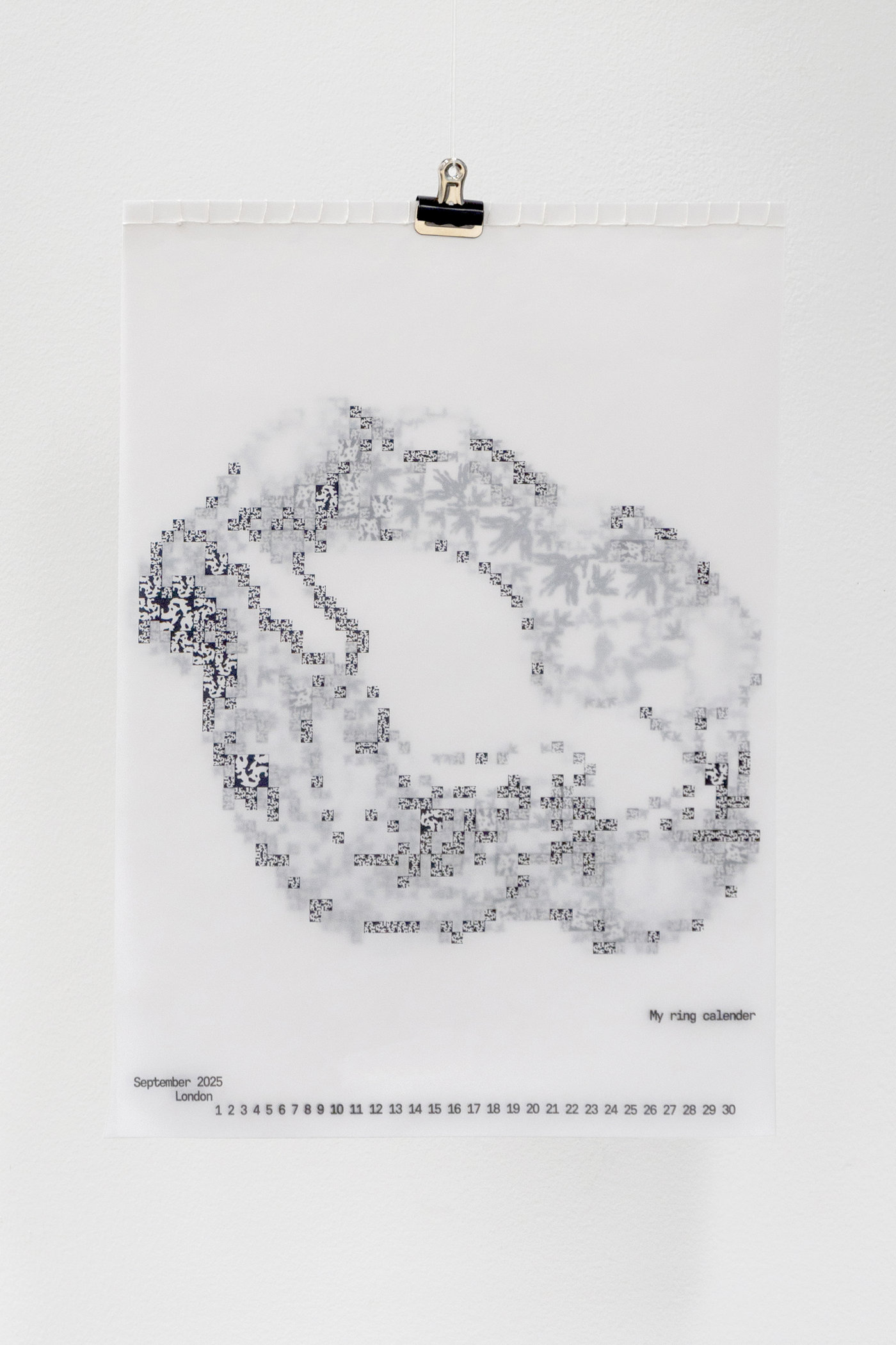 Invisible Memory / Graphic / 2025
