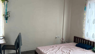 Female roommate required in 2BHK  flat  in HSR-Layout