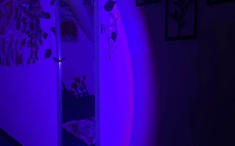 Room in 1RK flat  available in Sector-65