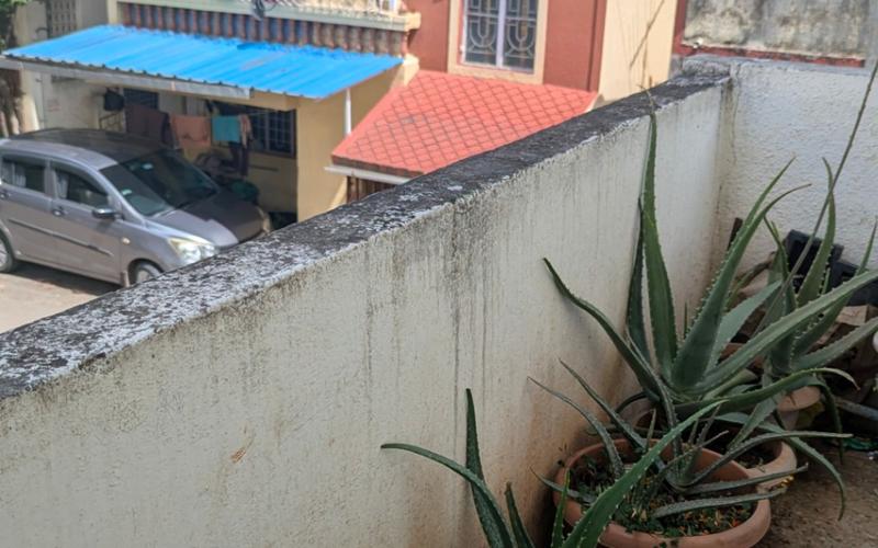 Female roommate required in 1RK  flat  in New-Sangvi