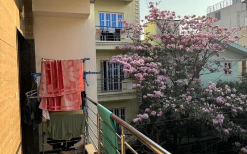 Room in 2BHK flat available in 4th-Block-Koramangala