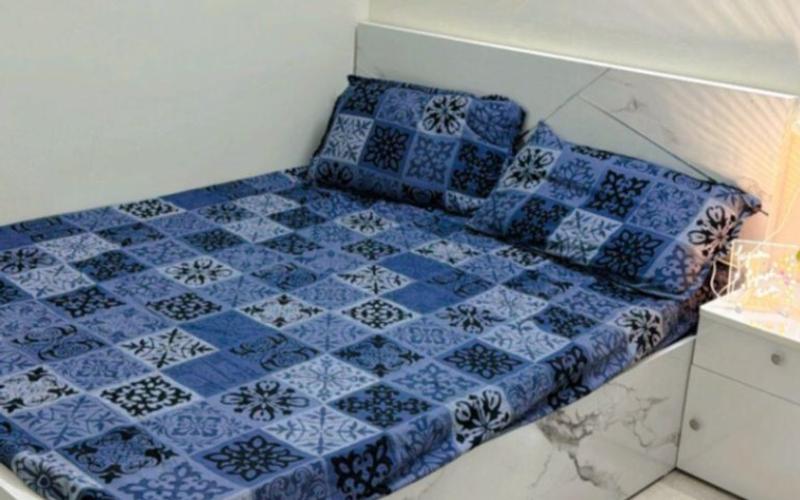 2BHK flat for rent in Punawale