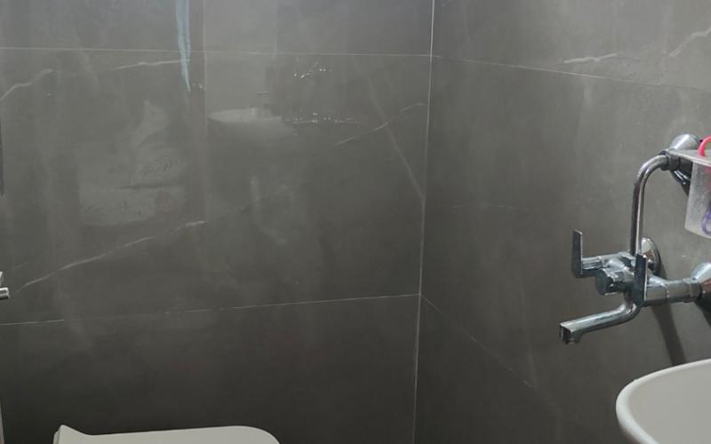 Female flatmate required in 1BHK  flat  in Kondapur