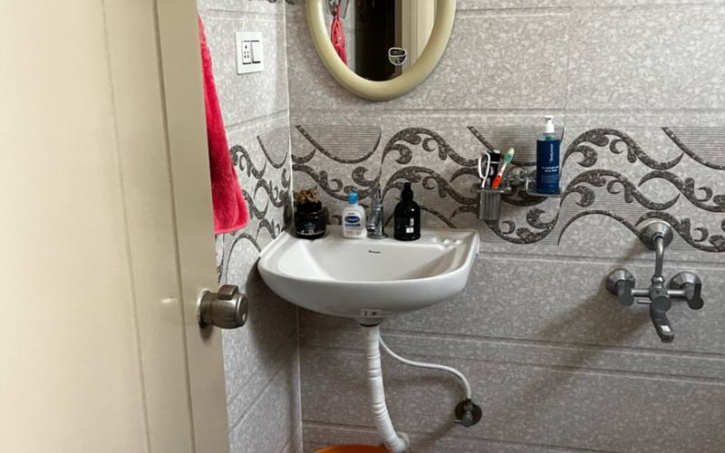 Female flatmate required in 2BHK  flat  in Mahadevapura