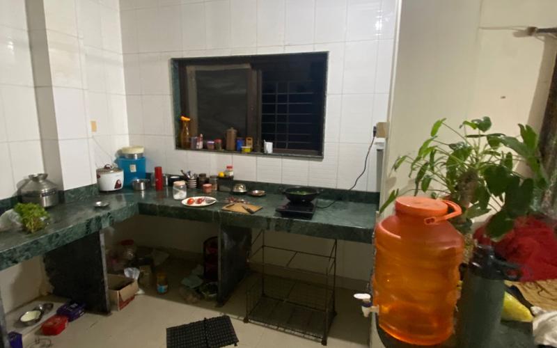 Male roommate required in 1BHK  flat  in New-Sangvi