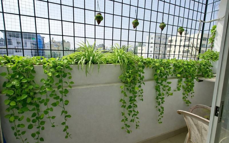 Male flatmate required in 2BHK  flat  in Yemalur-Bellandur