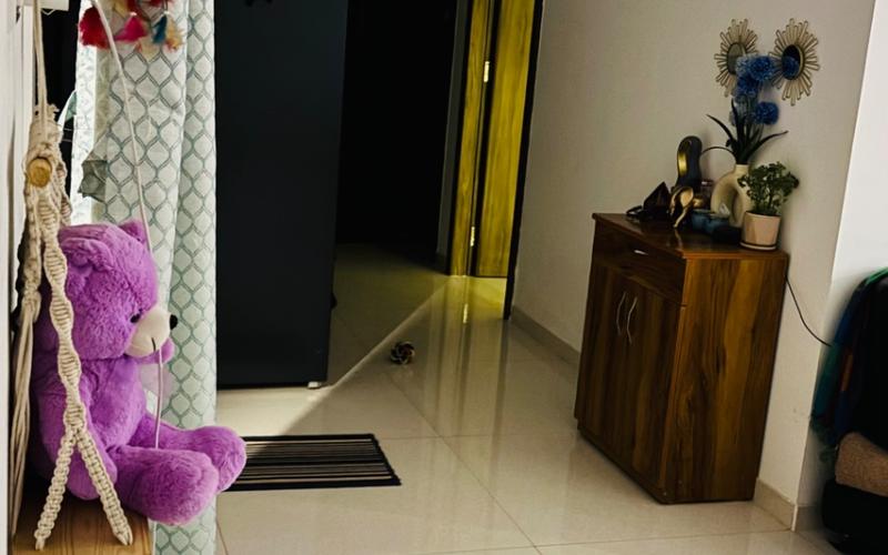 Female flatmate required in 3BHK  flat  in Lohegaon