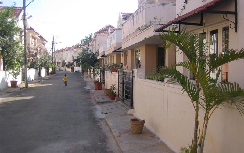 Female PG in Whitefield