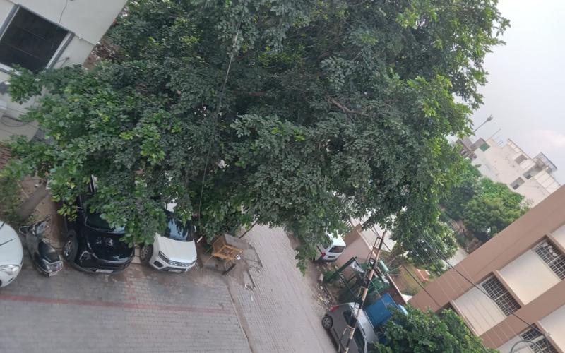 Male roommate required in 1BHK  independent house in Block-Q-South-City-I-Sector-40