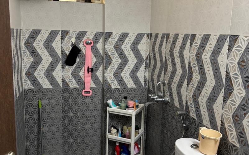 Female flatmate required in 3BHK  apartment  in Horamavu