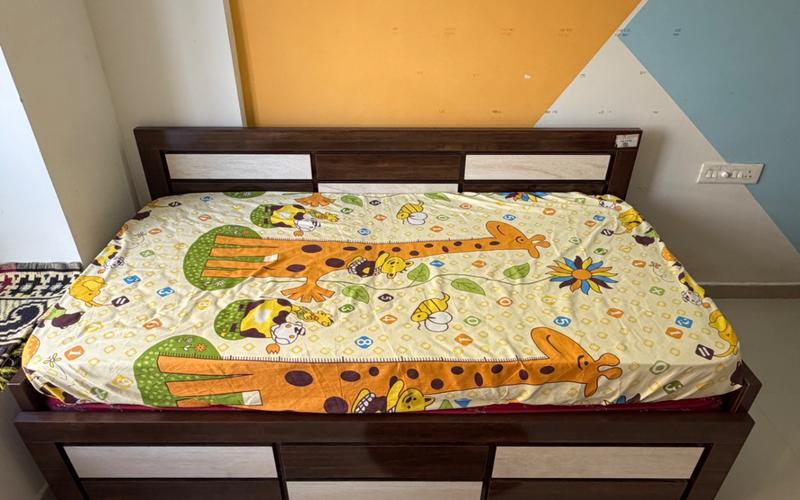 Female flatmate required in 2BHK  flat  in Electronic-City