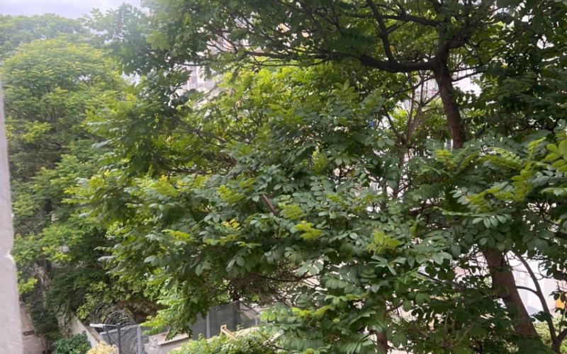 Male flatmate required in 3BHK  apartment  in Bellandur