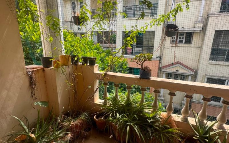 🏡 Female Replacement Needed| 3BHK | Akashnagar, Indiranagar