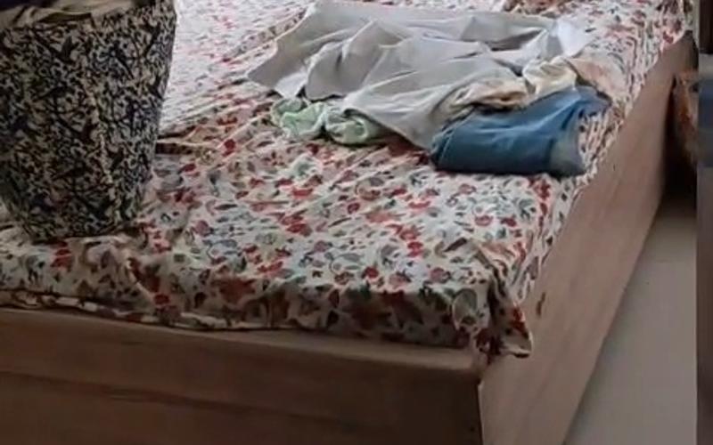 Female flatmate required in 3BHK  flat  in Gautam-Buddha-Nagar