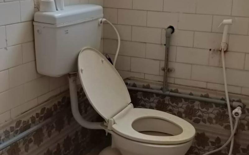 Female flatmate required in 2BHK  apartment  in Teynampet