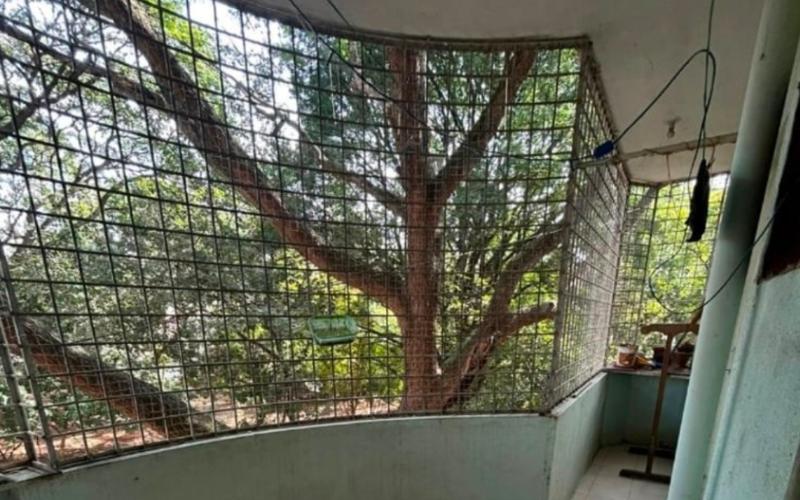 2 female roommates required in 3BHK  apartment  in Tyagaraja-Nagar-Basavanagudi