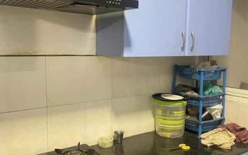 Female flatmate required in 3BHK  apartment  in Padur