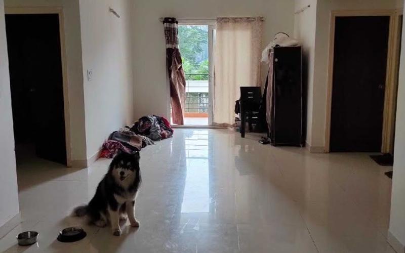 Male flatmate required in 3BHK  flat  in Gunjur-Village