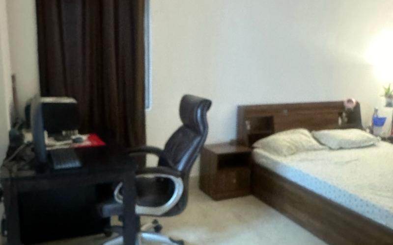 Female flatmate required in 3BHK  apartment  in Shanti-Nagar