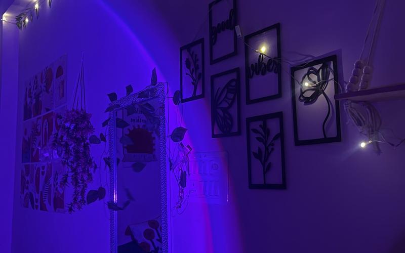 Room in 1RK flat  available in Sector-65